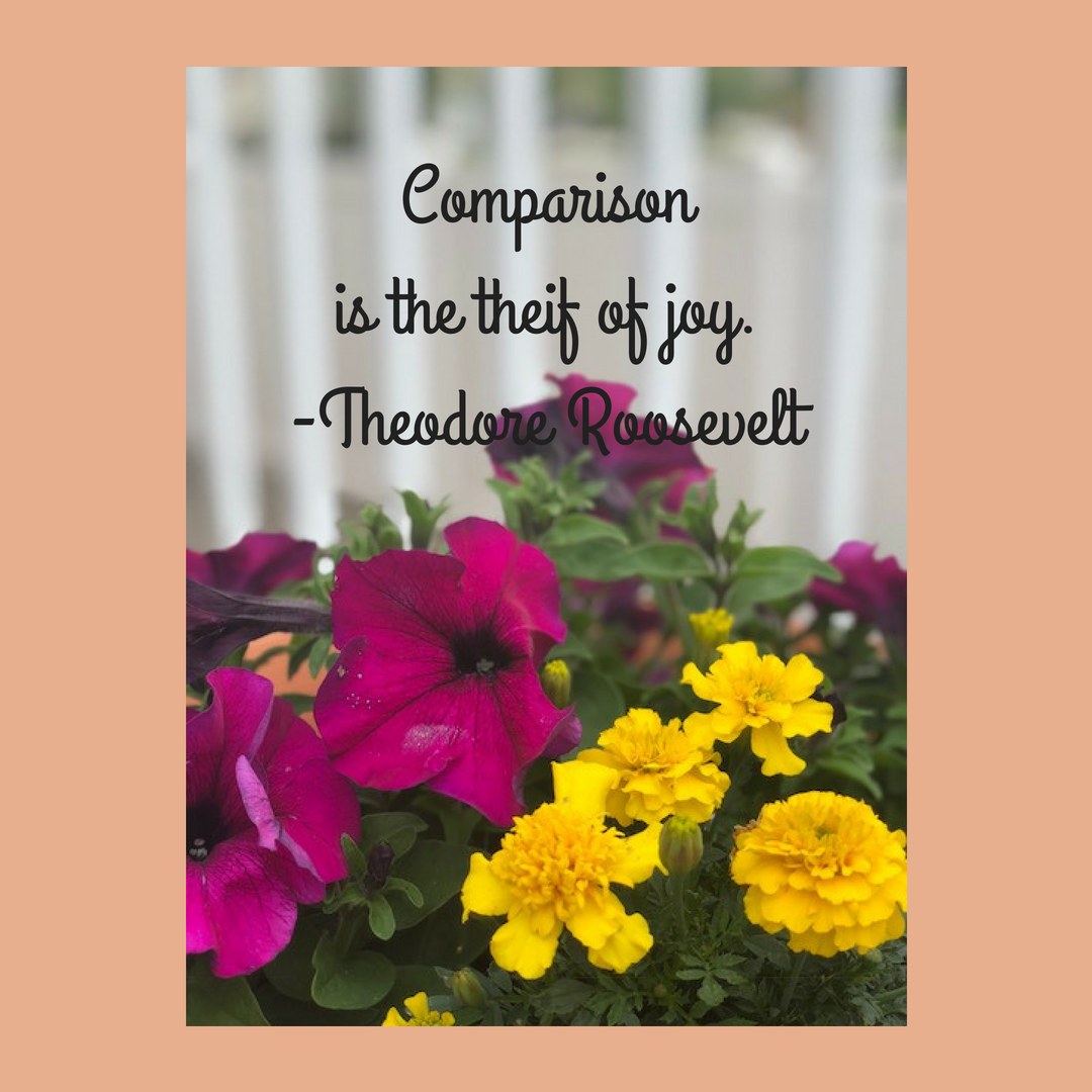 Comparison is the theif of joy.--Theodore Roosevelt1